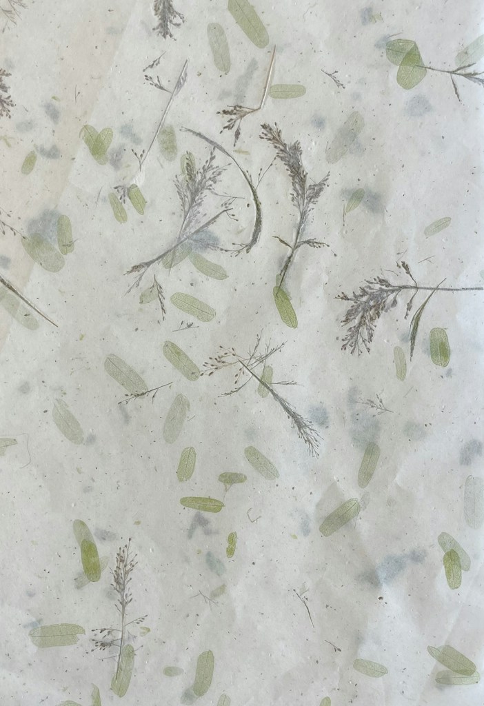 Quiet Botanical Study