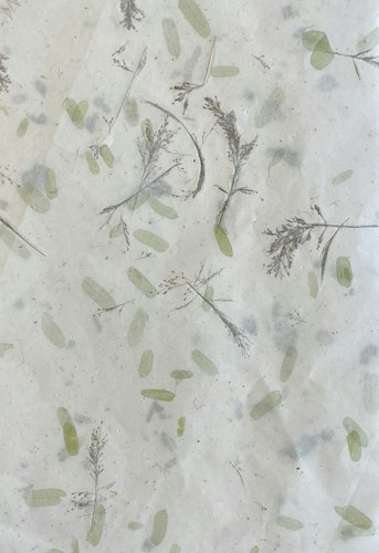 A textured surface featuring pressed botanical elements such as dried branches and leaves. The arrangement is sparse, with delicate foliage scattered randomly across a pale background, giving an organic and natural appearance.