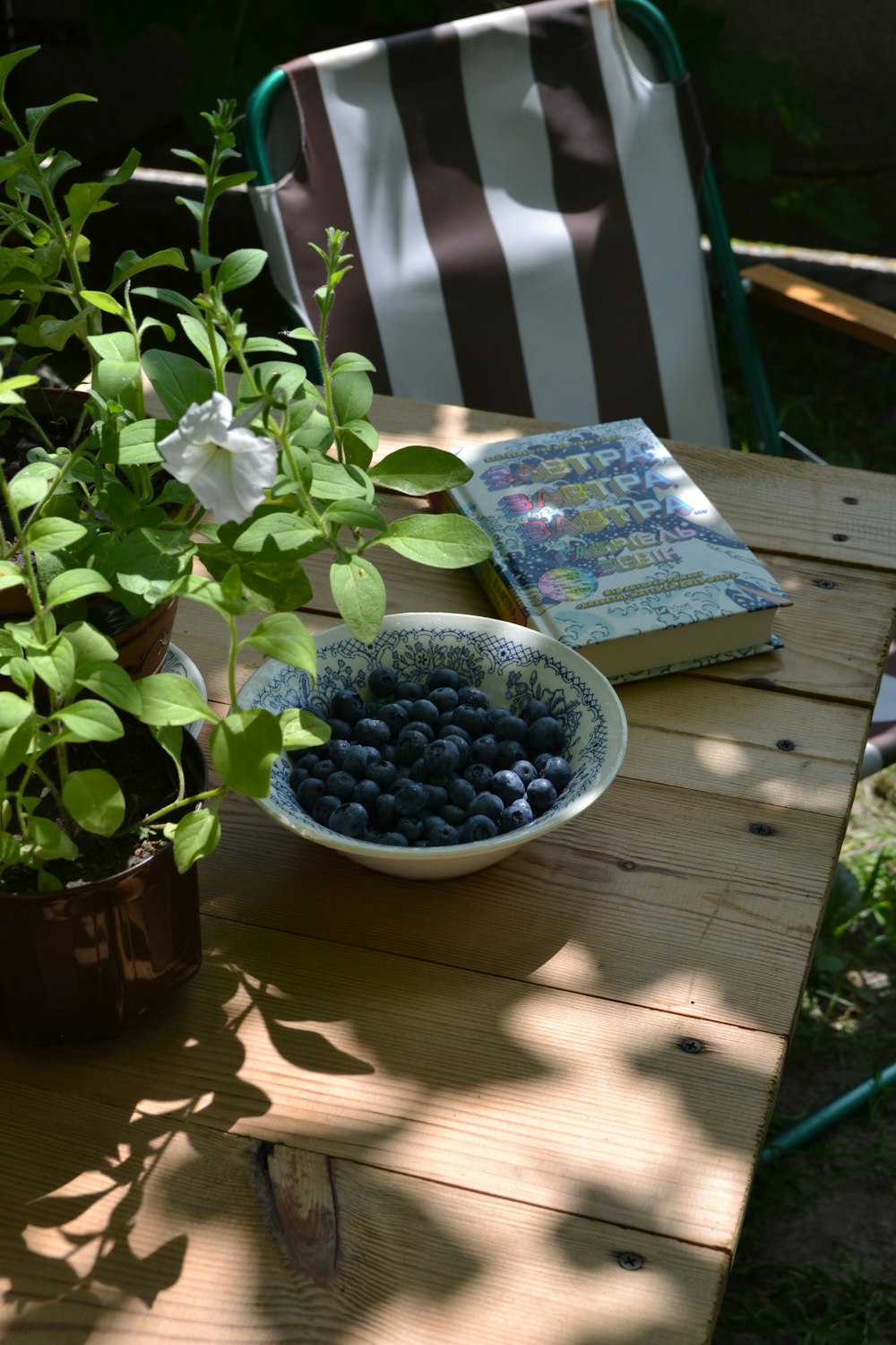 a bowl of blueberries and a book on a table