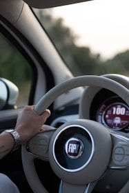 A person is gripping the steering wheel of a Fiat car. The interior features a digital speedometer displaying a speed of 100. The steering wheel includes controls for audio and other functions. Natural scenery is visible through the car's window.