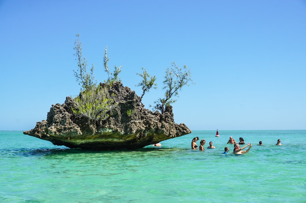 a group of people swimming in the ocean