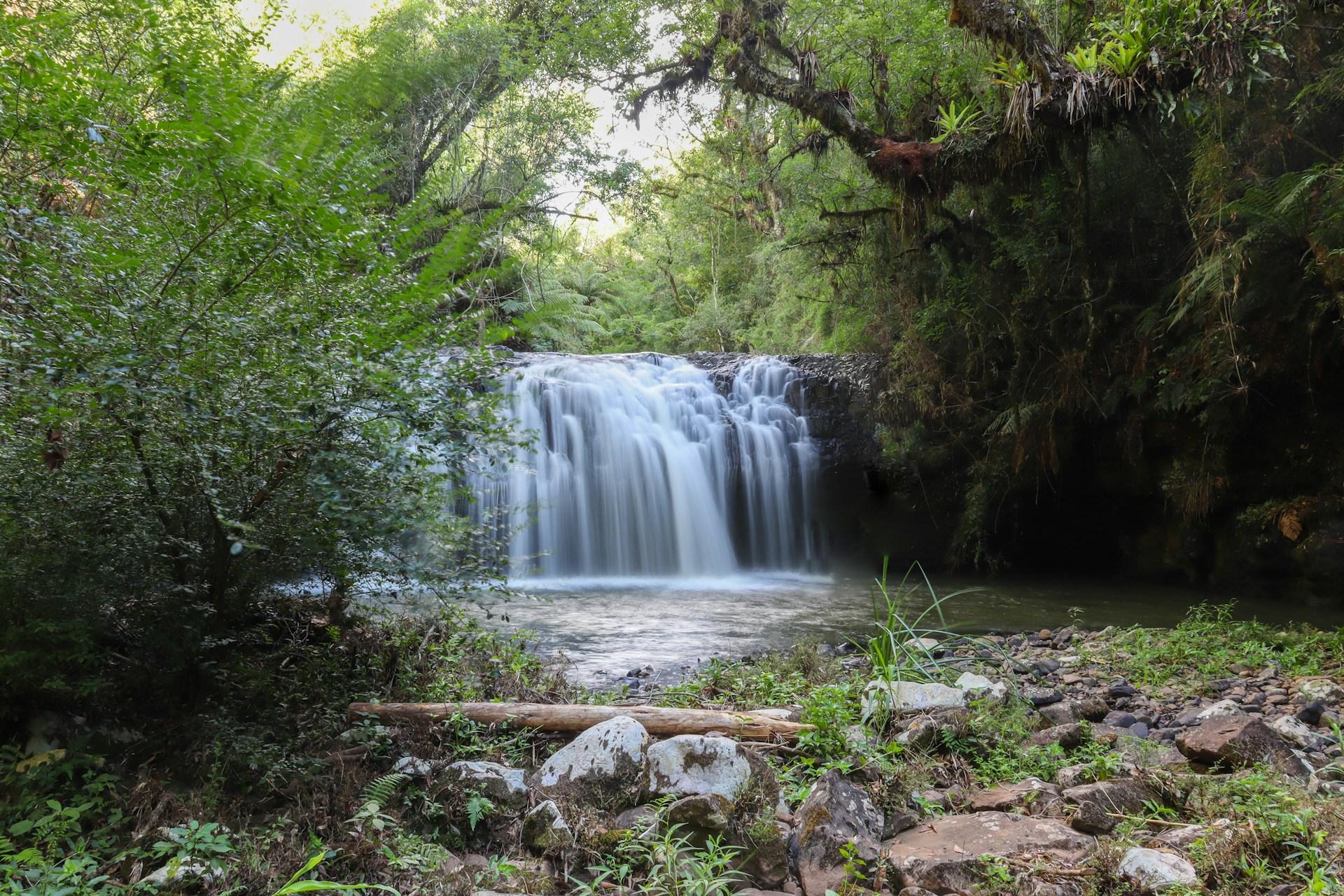 a small waterfall in the middle of a forest