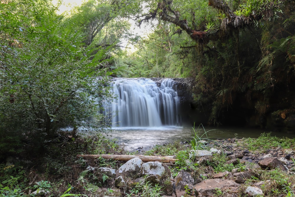 a small waterfall in the middle of a forest