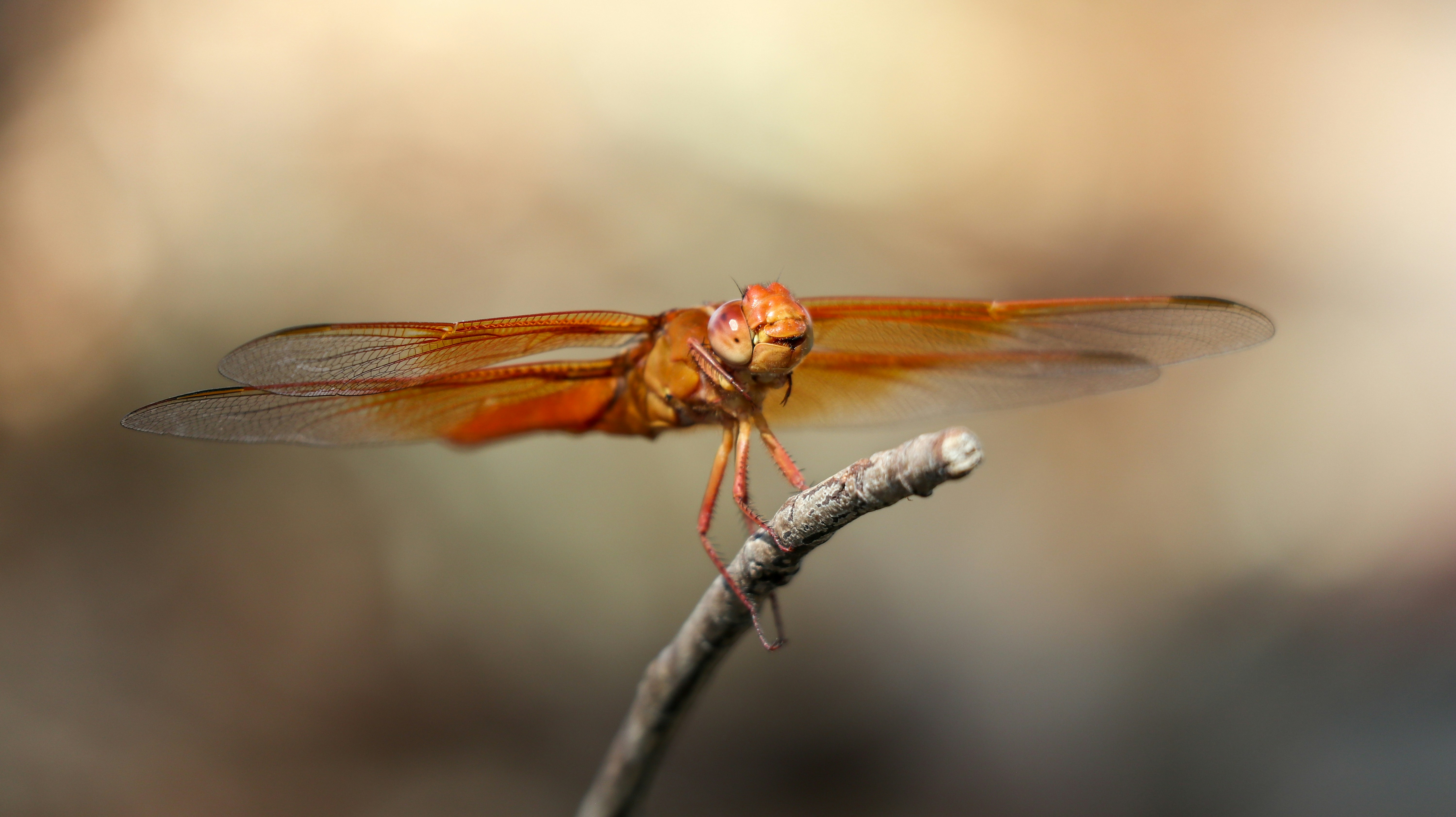 Photo by jcnonstop87