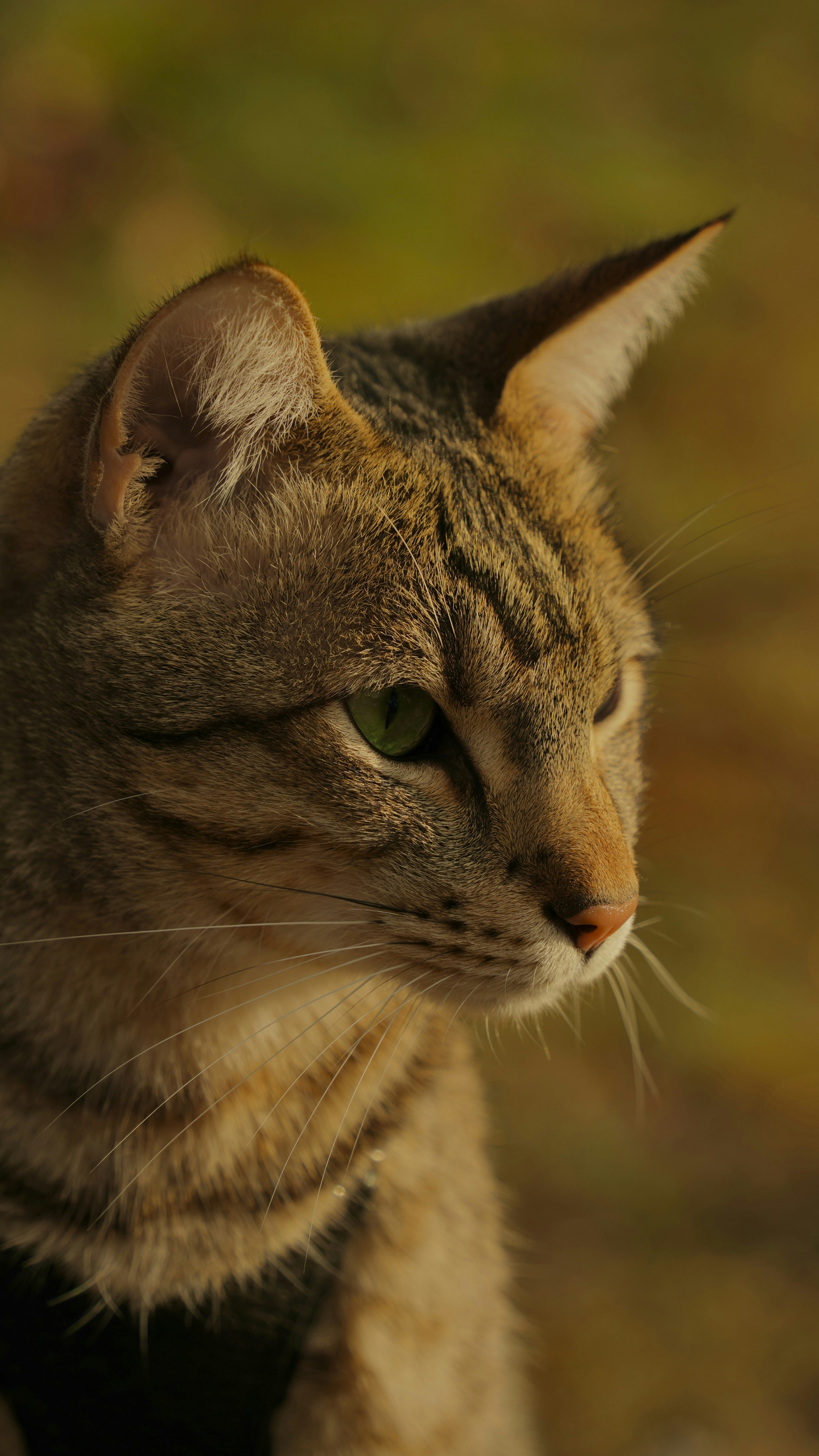 Photo by andysframes