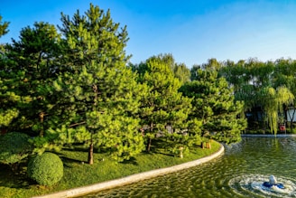 Wide shot of a landscaped backyard featuring a custom-built ornamental lake with stone borders.