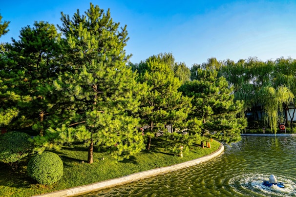 Wide shot of a landscaped backyard featuring a custom-built ornamental lake with stone borders.