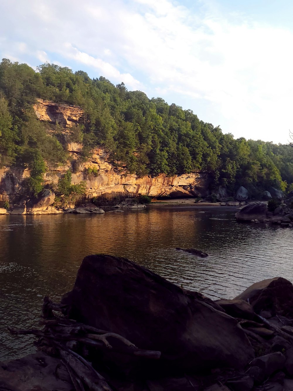 a large body of water surrounded by trees