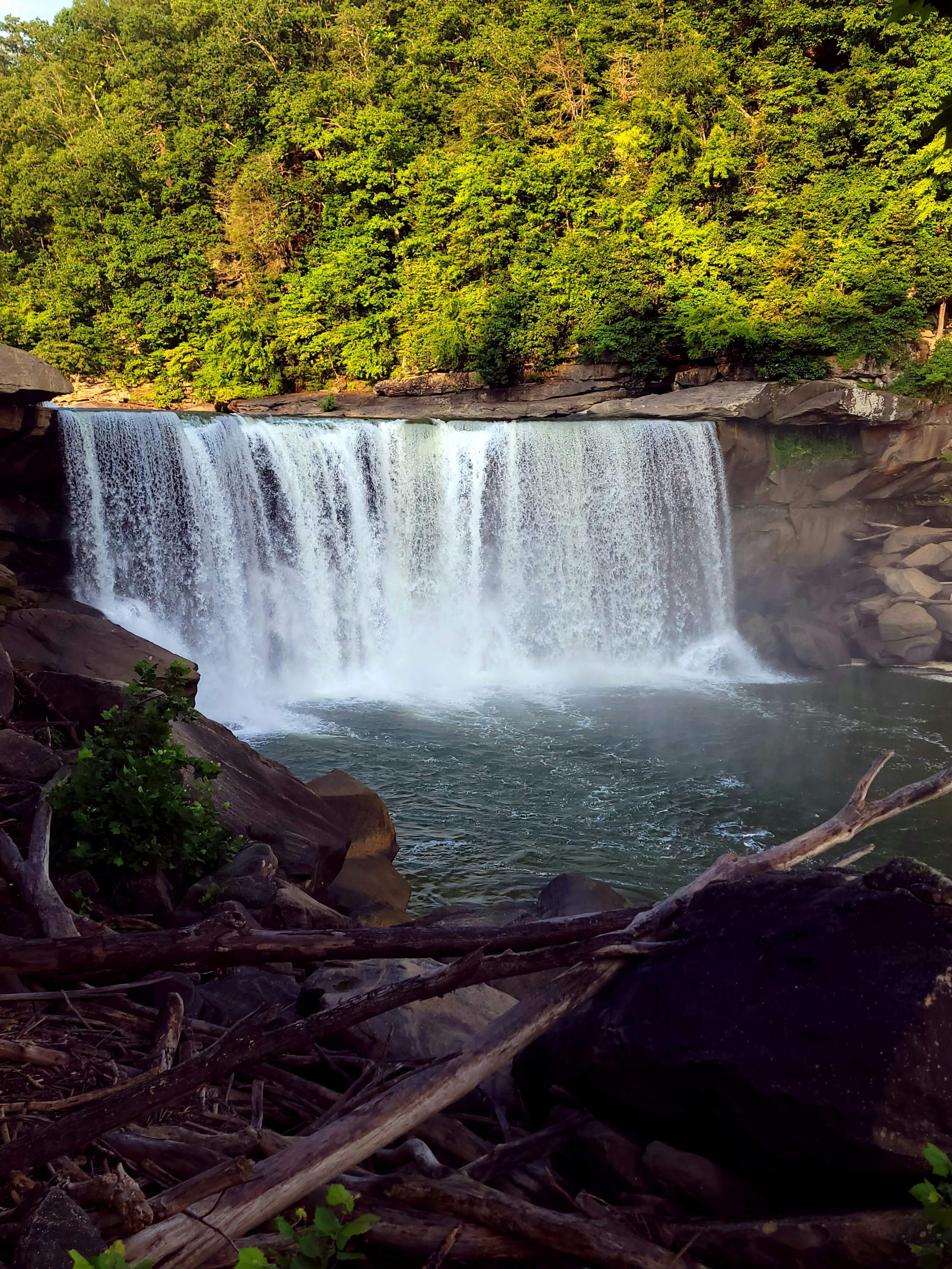 Photo by littlefox1724