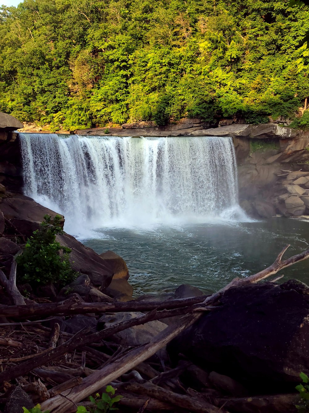 Une grande cascade au milieu d’une forêt