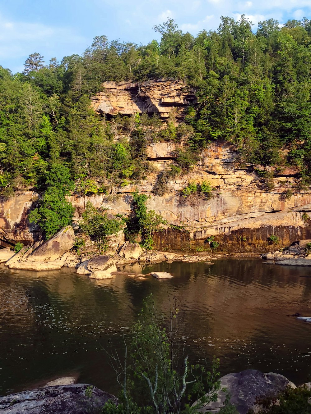 a large body of water surrounded by trees