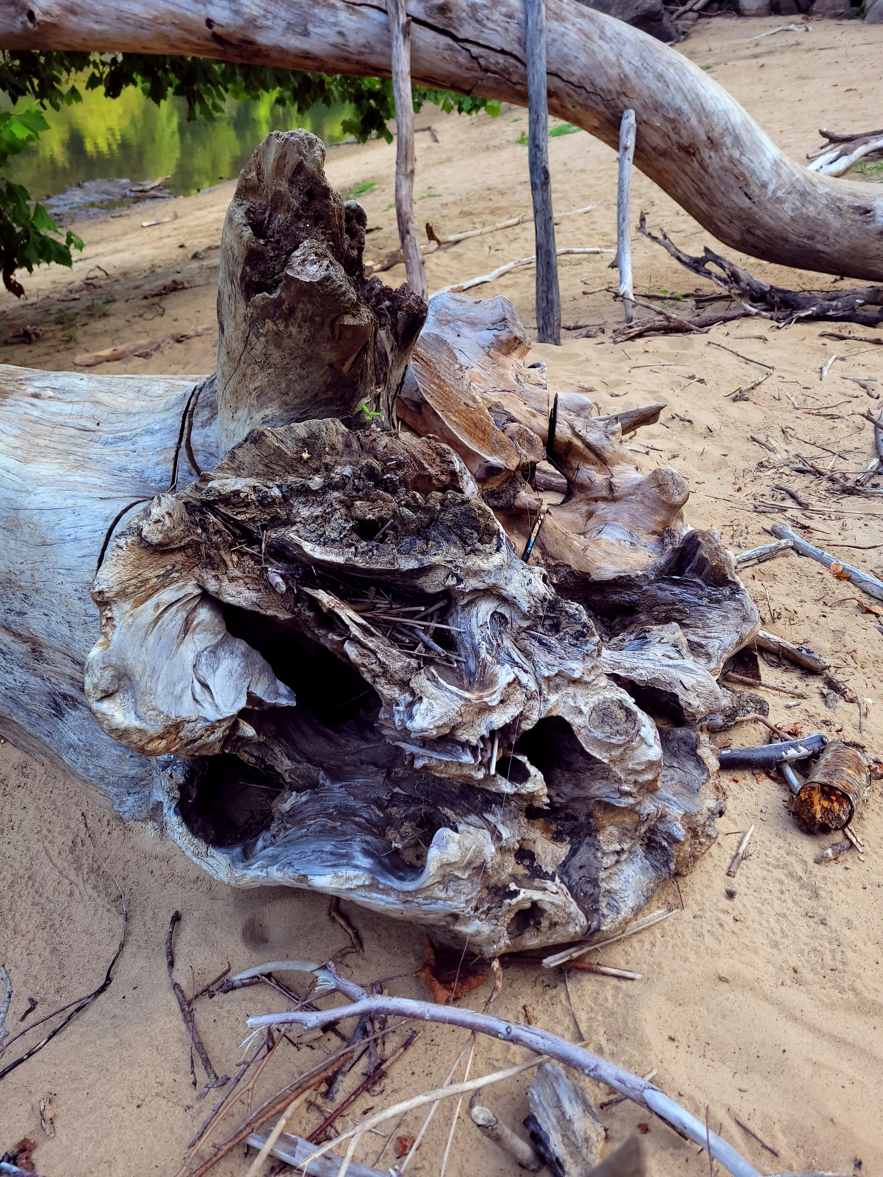 Photo by littlefox1724