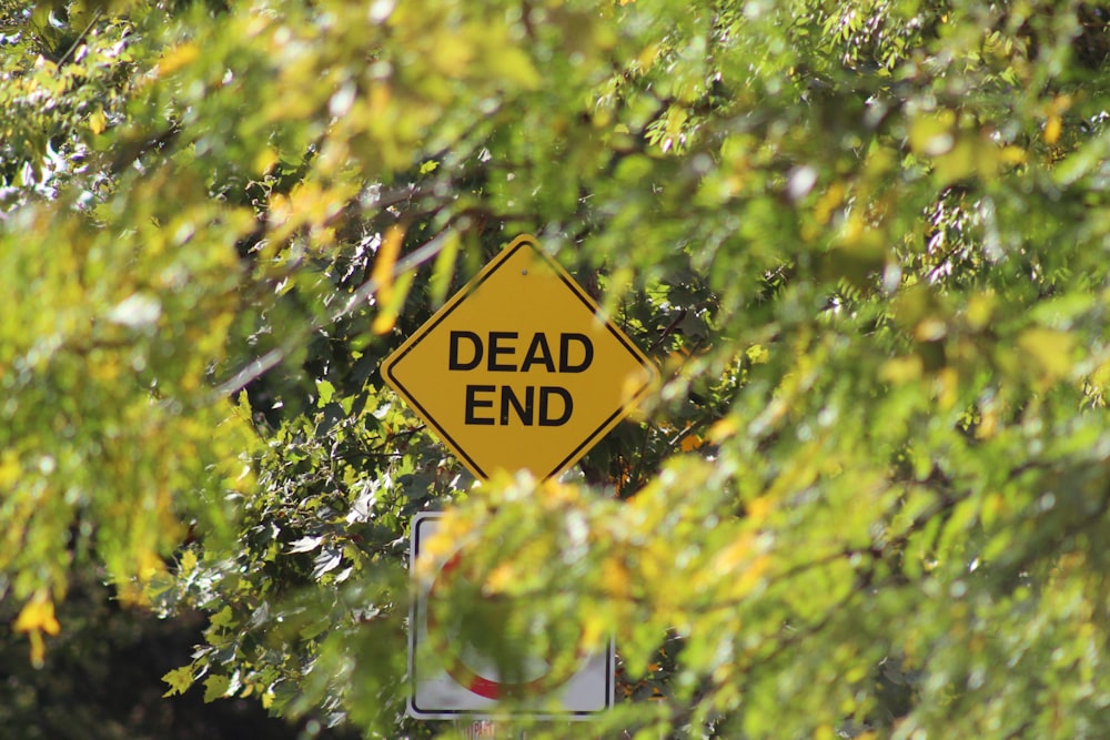 a yellow dead end sign sitting in the middle of a forest