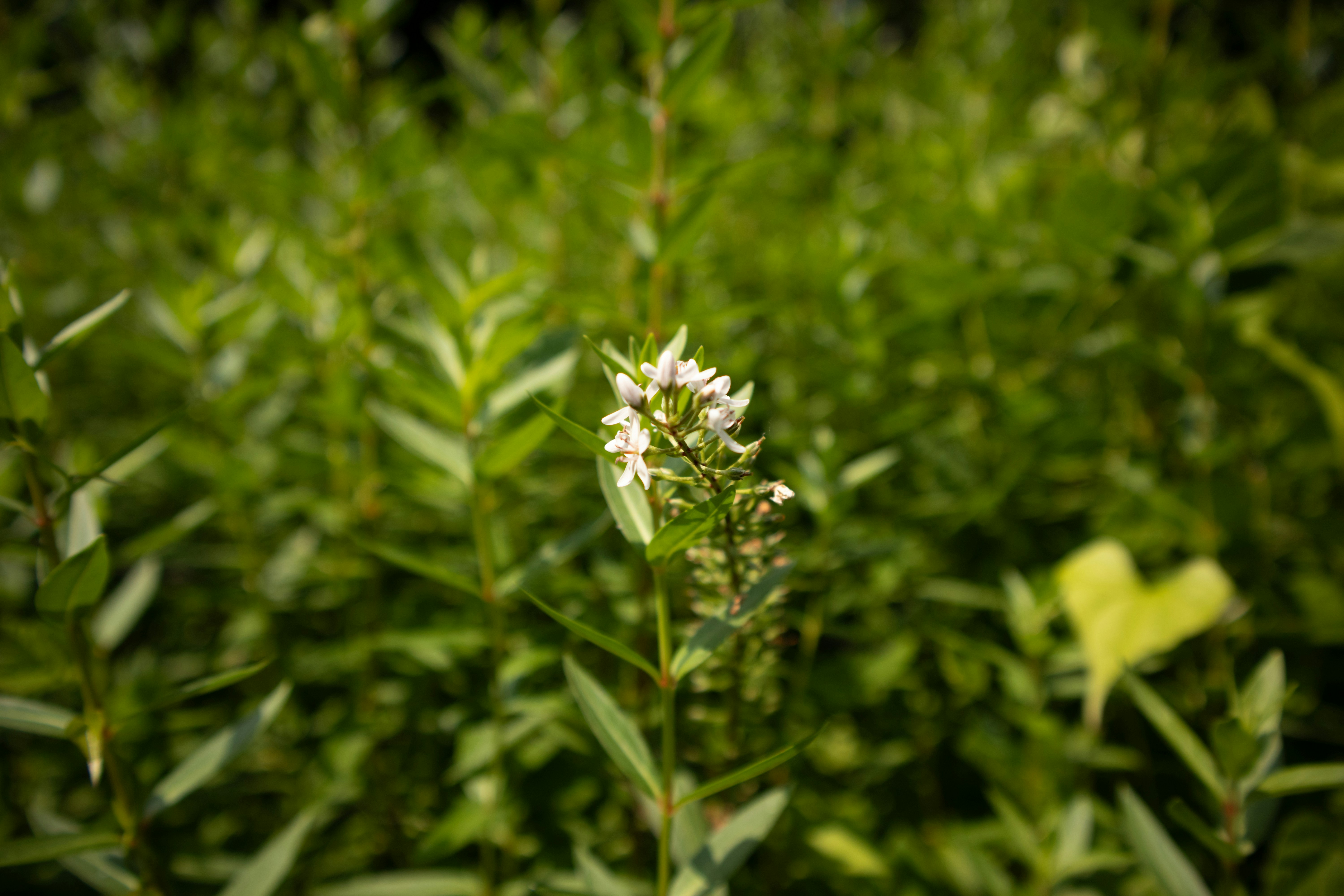 Photo by takatsuchida