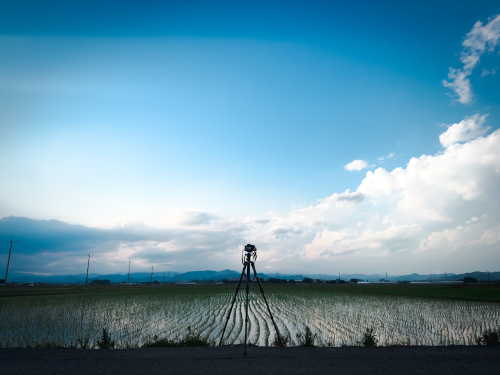 a person standing in a field with a camera on a tripod