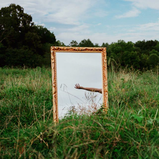 a mirror sitting in the middle of a grass covered field