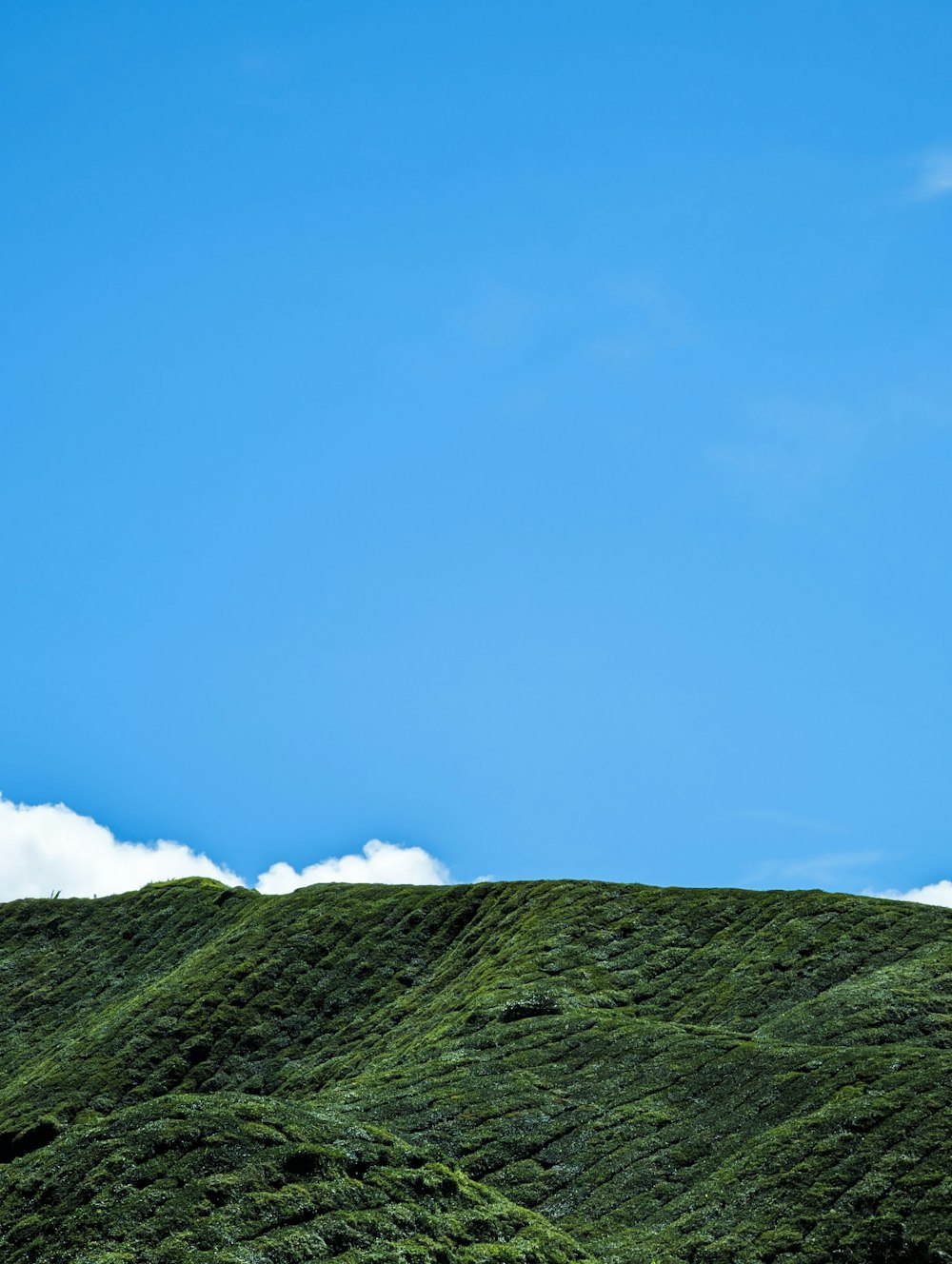 a hill covered in green grass under a blue sky