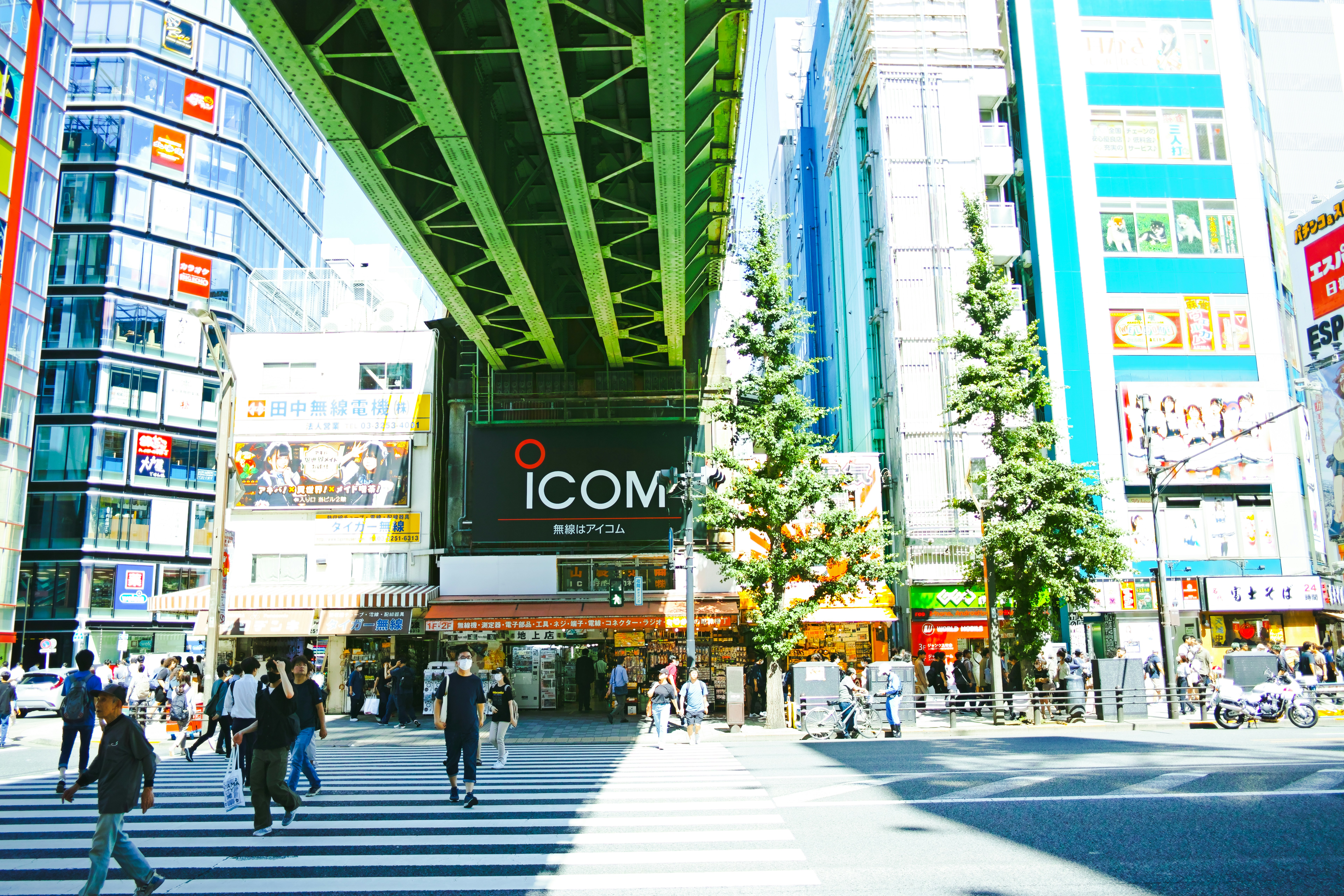 Modern coworking space in Tokyo with natural light