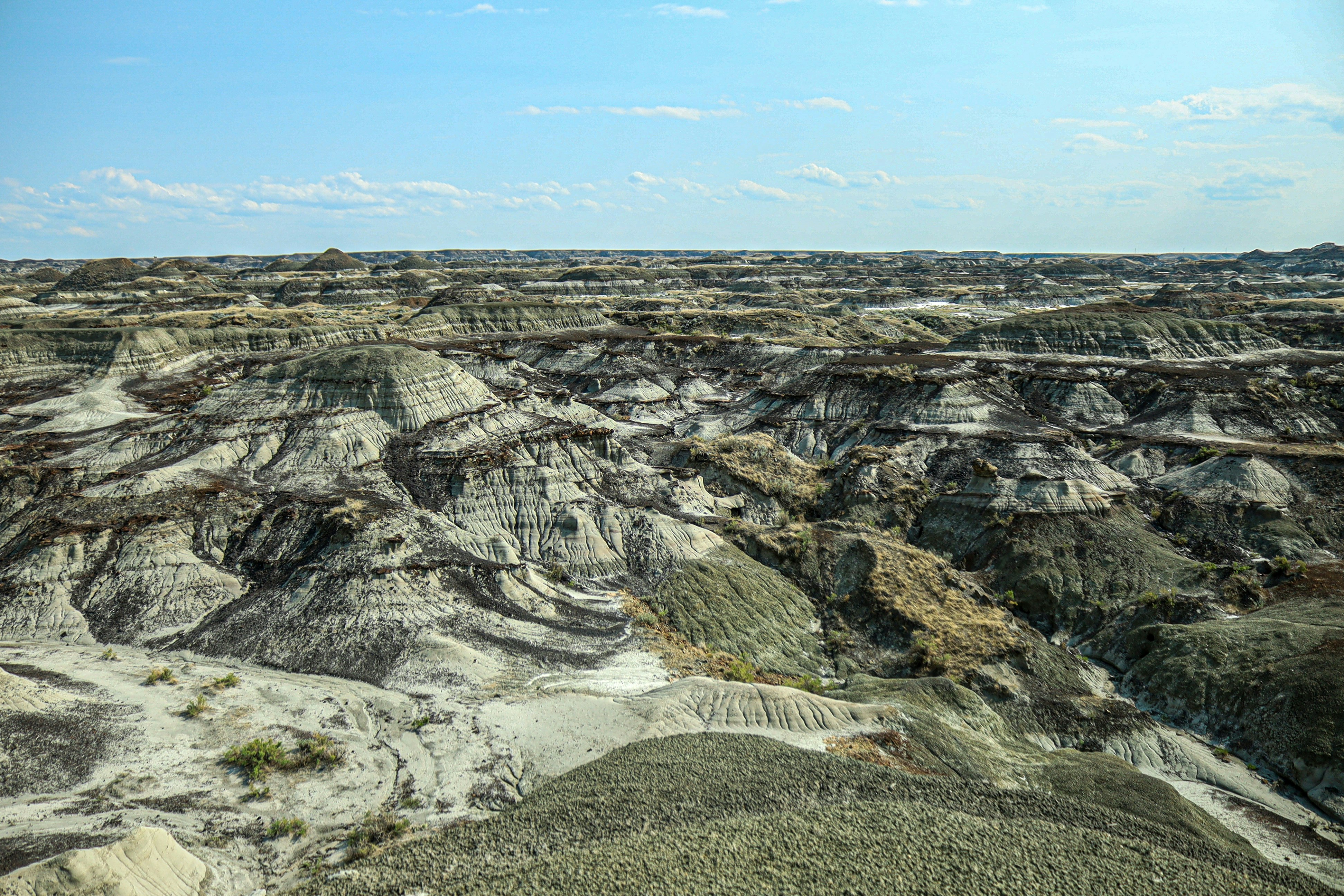 Photo of Dinosaur Provincial Park