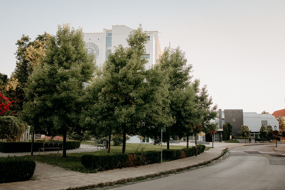 a tree lined street in front of a building