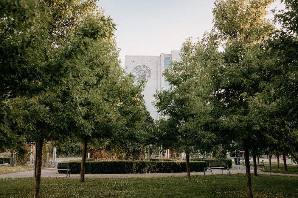 ein Park mit Bänken und Bäumen vor einem Gebäude