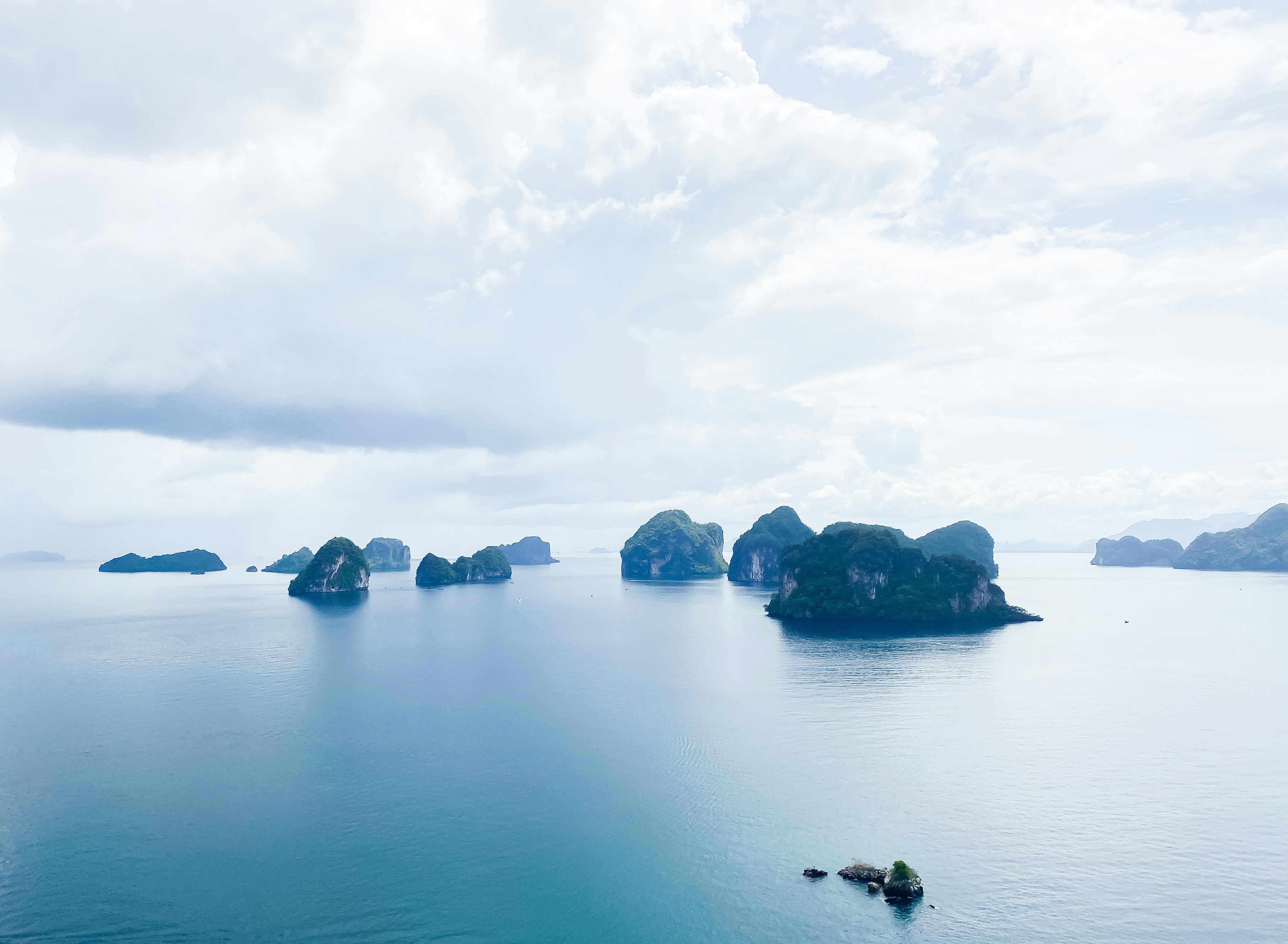 Photo by your_scorpion