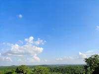 Best Pet-Friendly Cafes in Pachmarhi Where Your Dog Is as Welcome as You