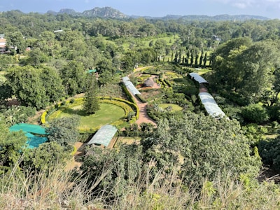 A sweeping aerial view of the landscaped gardens with manicured lawns and tree-lined pathways