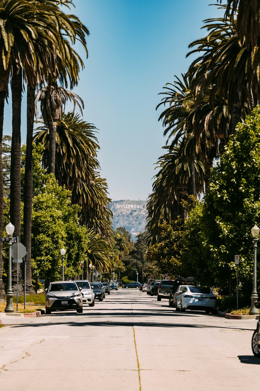 a street lined with palm trees and parked cars