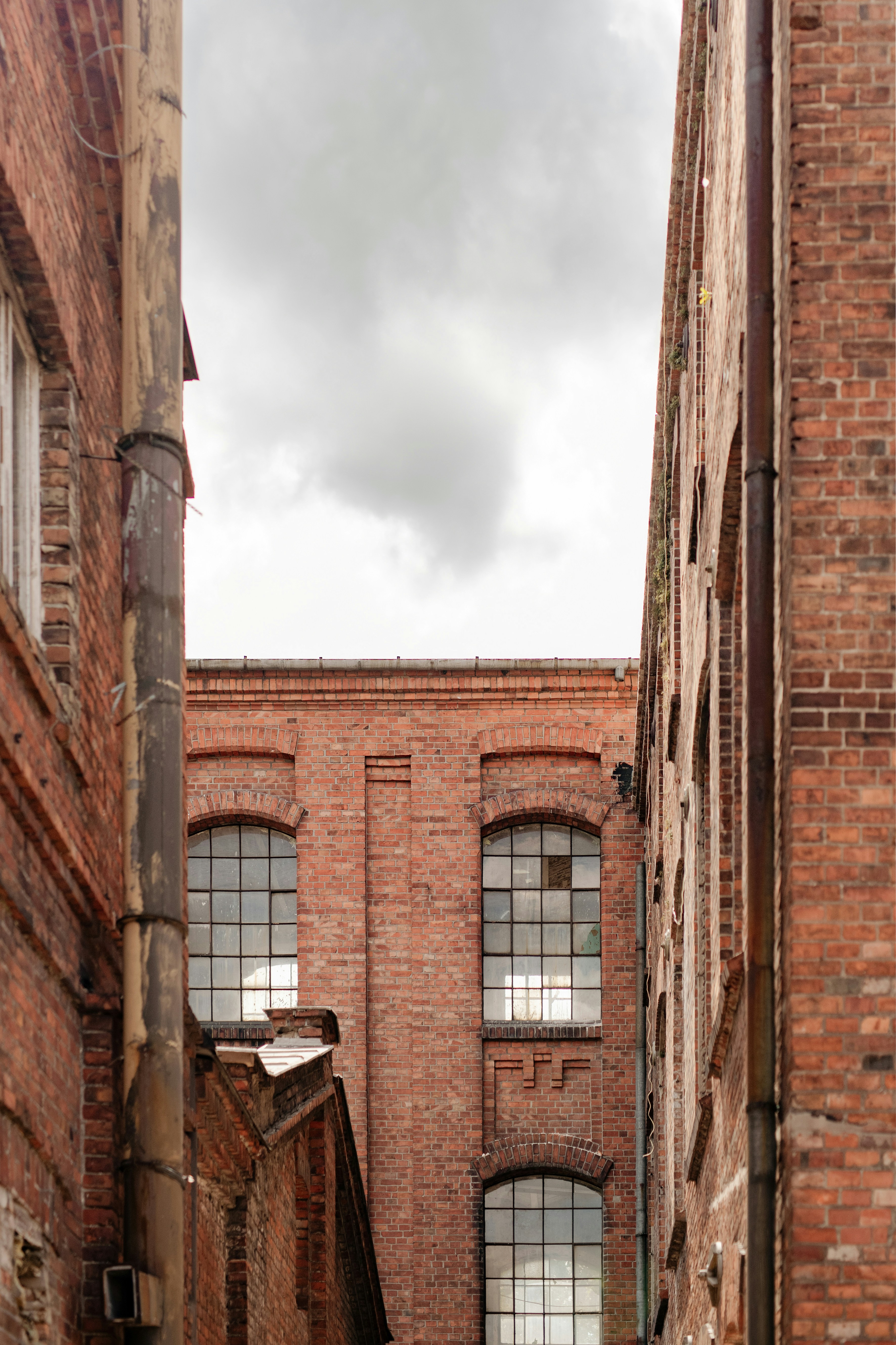 Photo by lauraadaiphoto