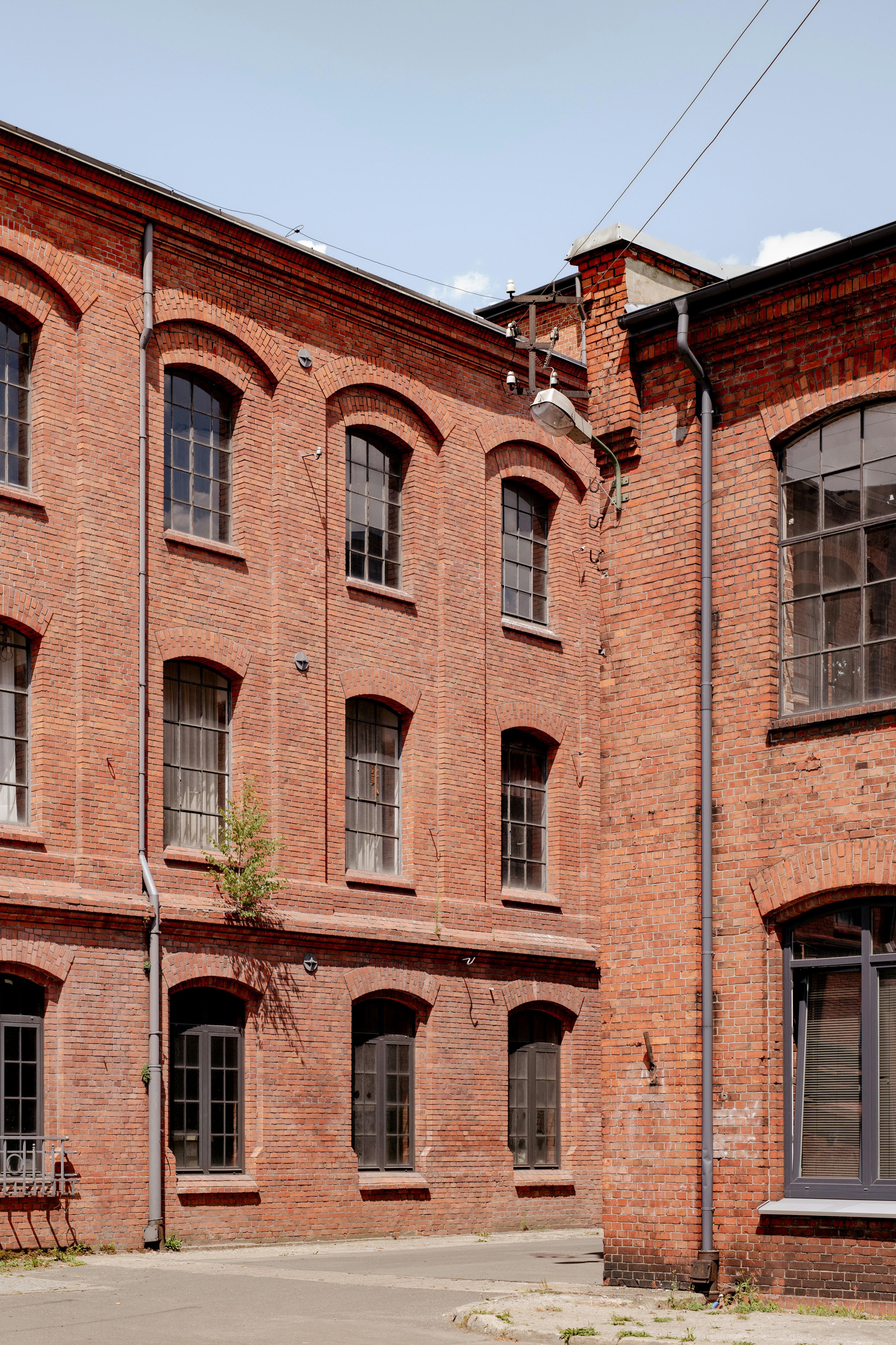 Photo by lauraadaiphoto