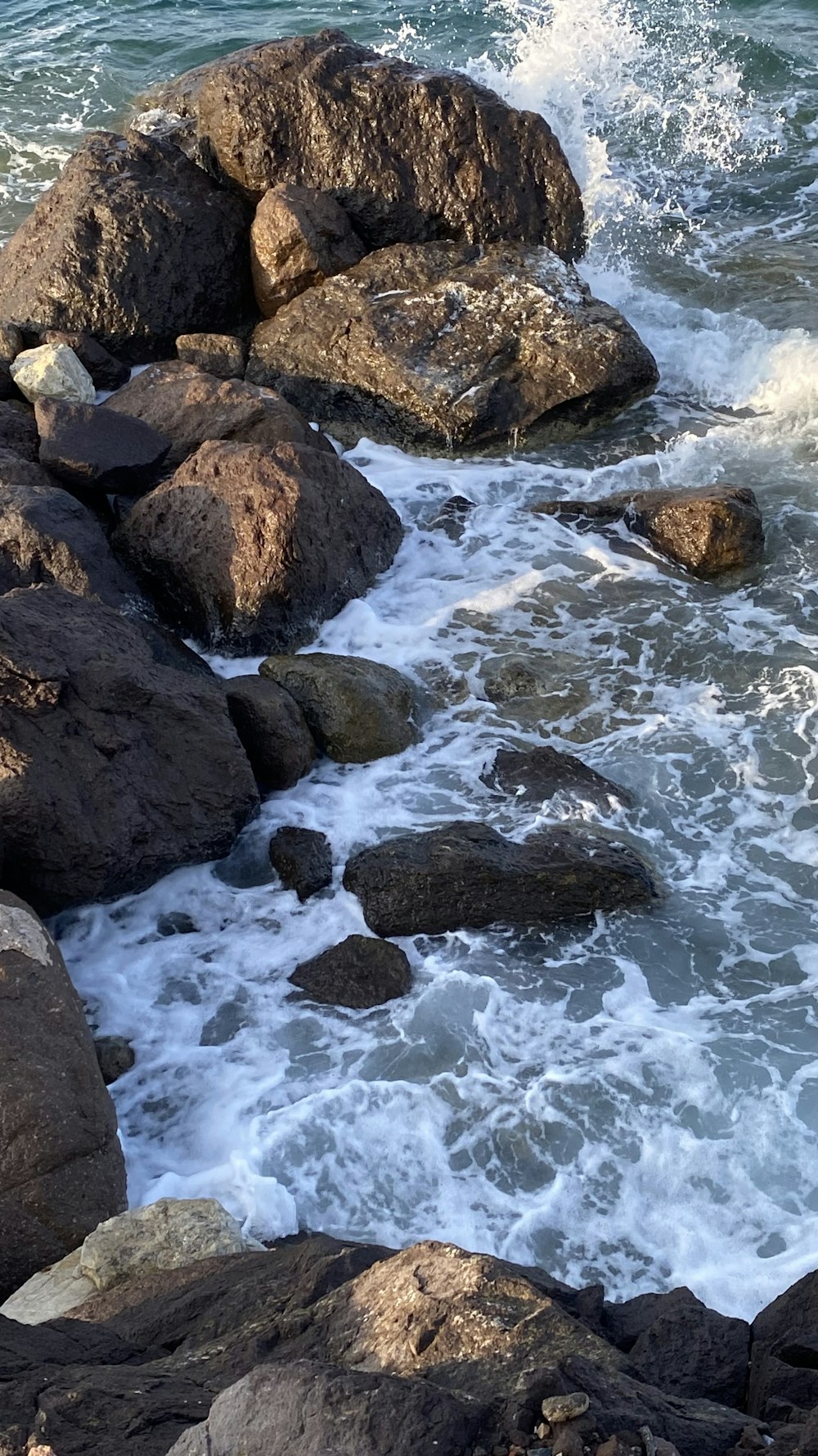 a bird sitting on a rock next to the ocean