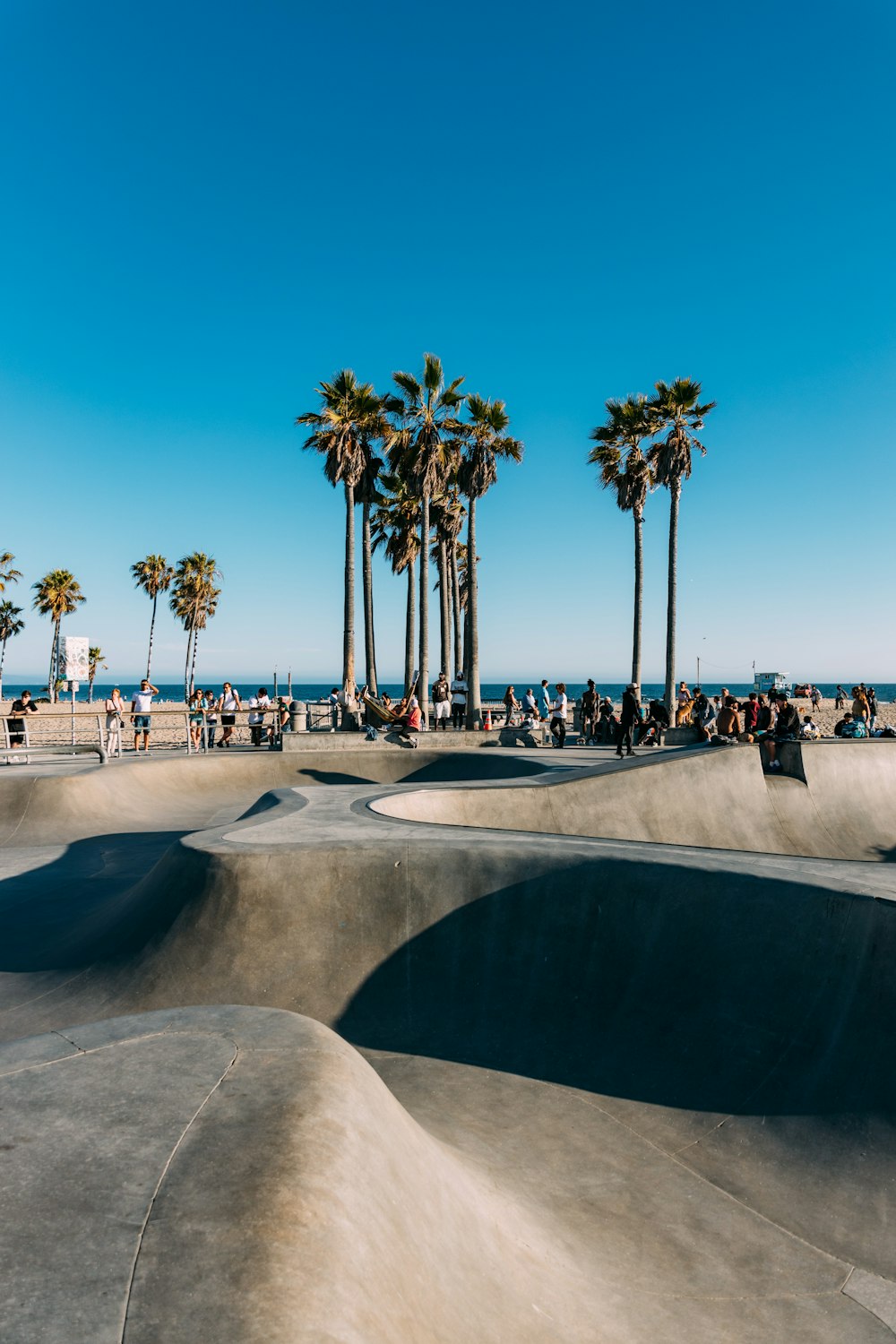 a skateboard park with palm trees and people