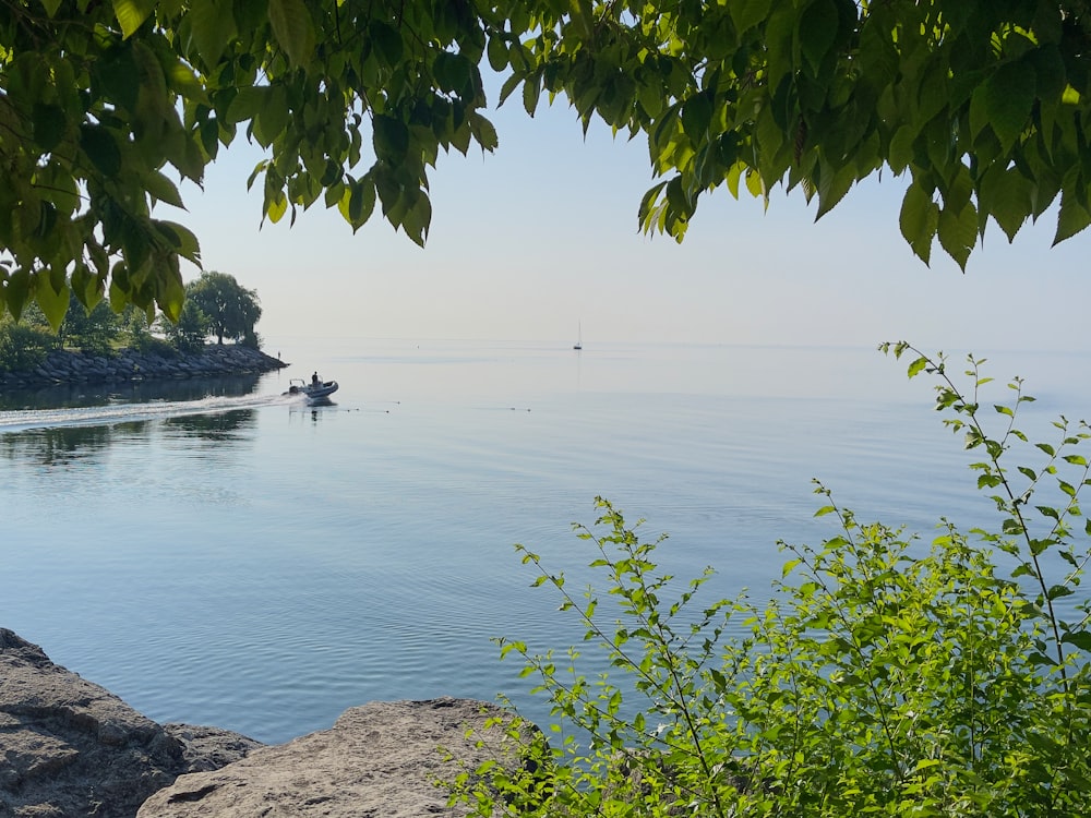 a body of water surrounded by trees and rocks