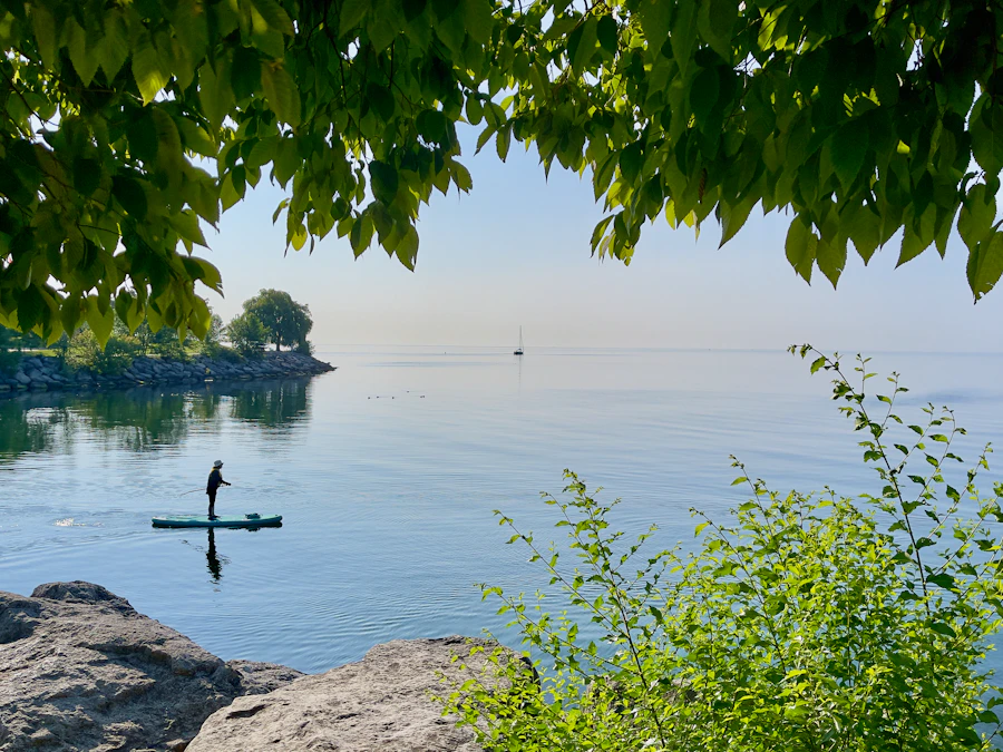 Lake Ontario on a calm summer morning, paddleboarder on still water, shoreline trees framing the view, sailboat in the distance