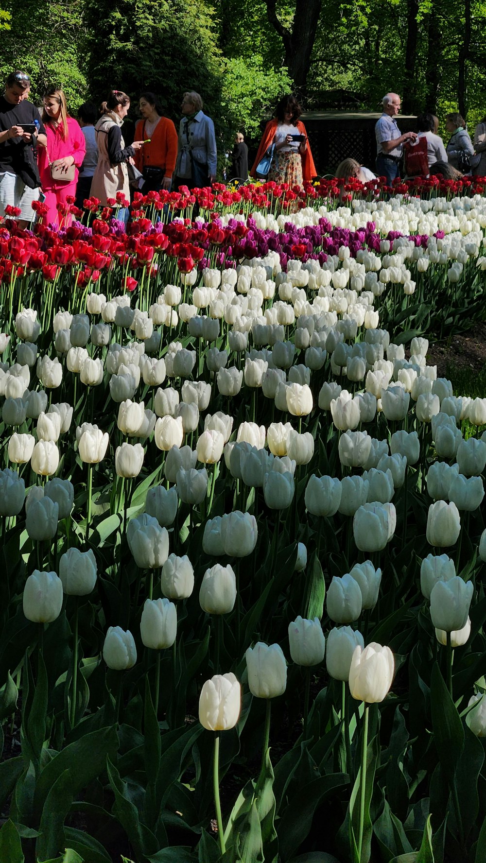 a group of people standing around a field of flowers