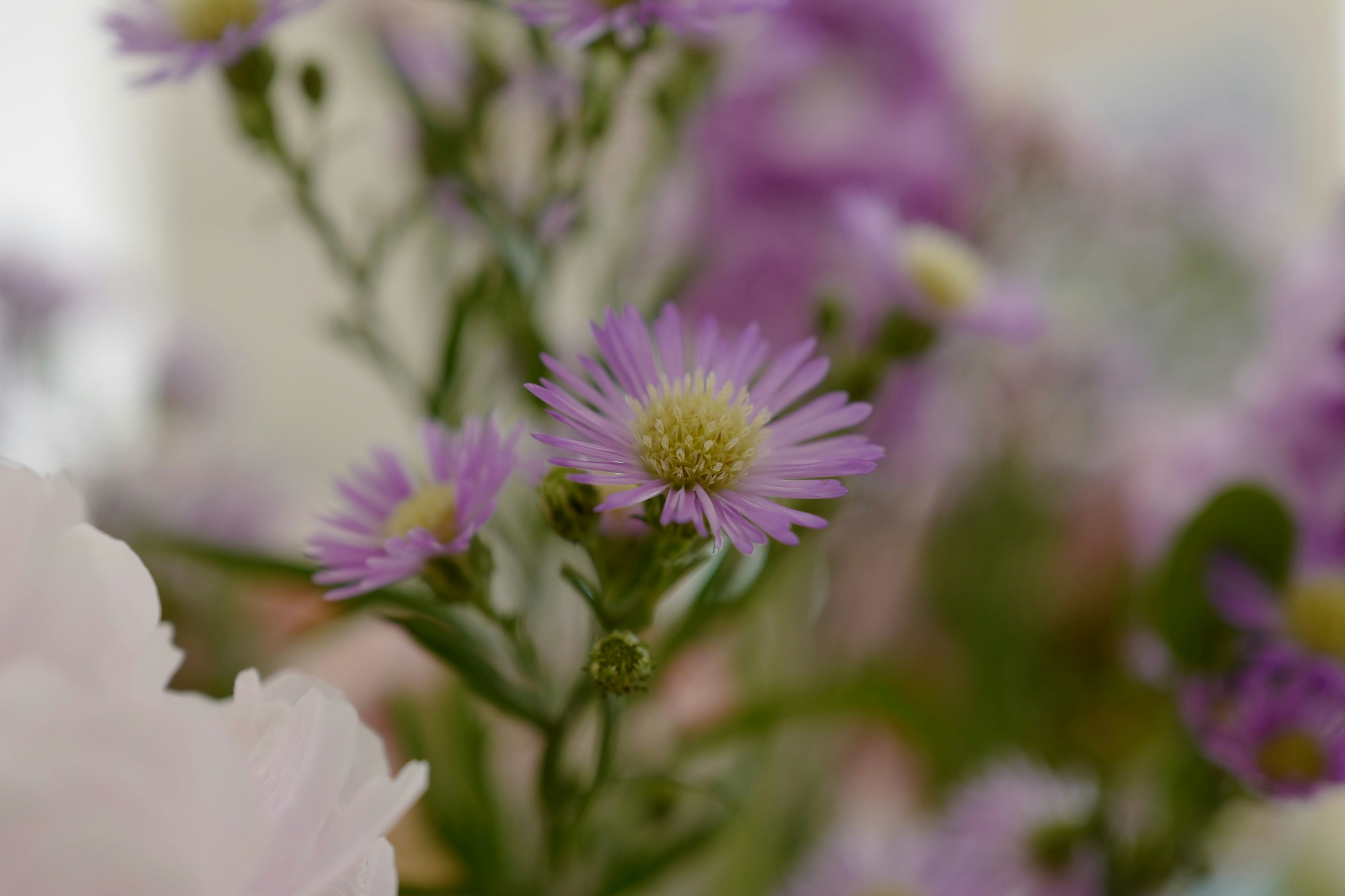 Photo by mysterydonut