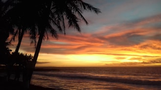 A stunning sunset over a tropical beach with palm trees.