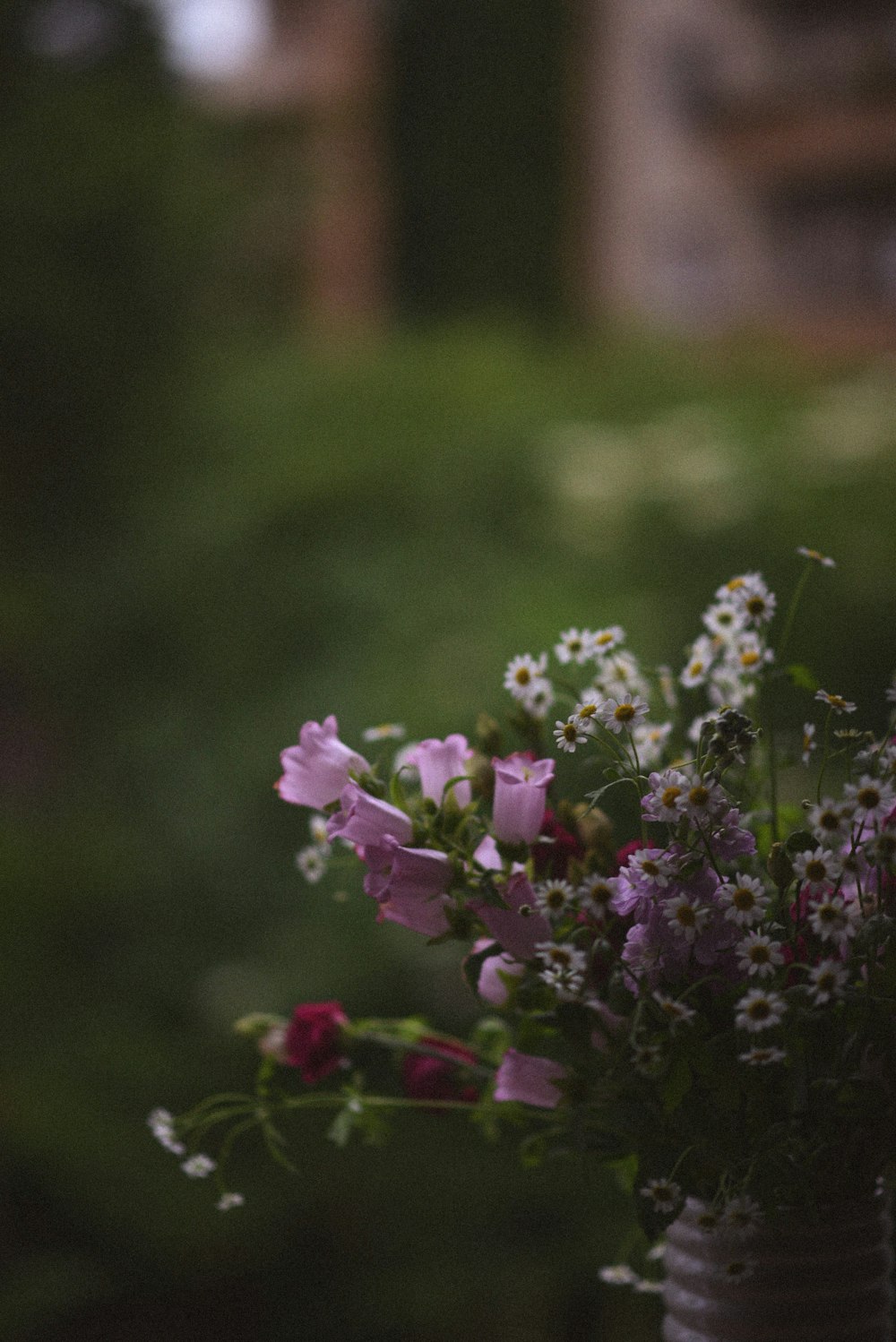 a close up of a vase with flowers in it