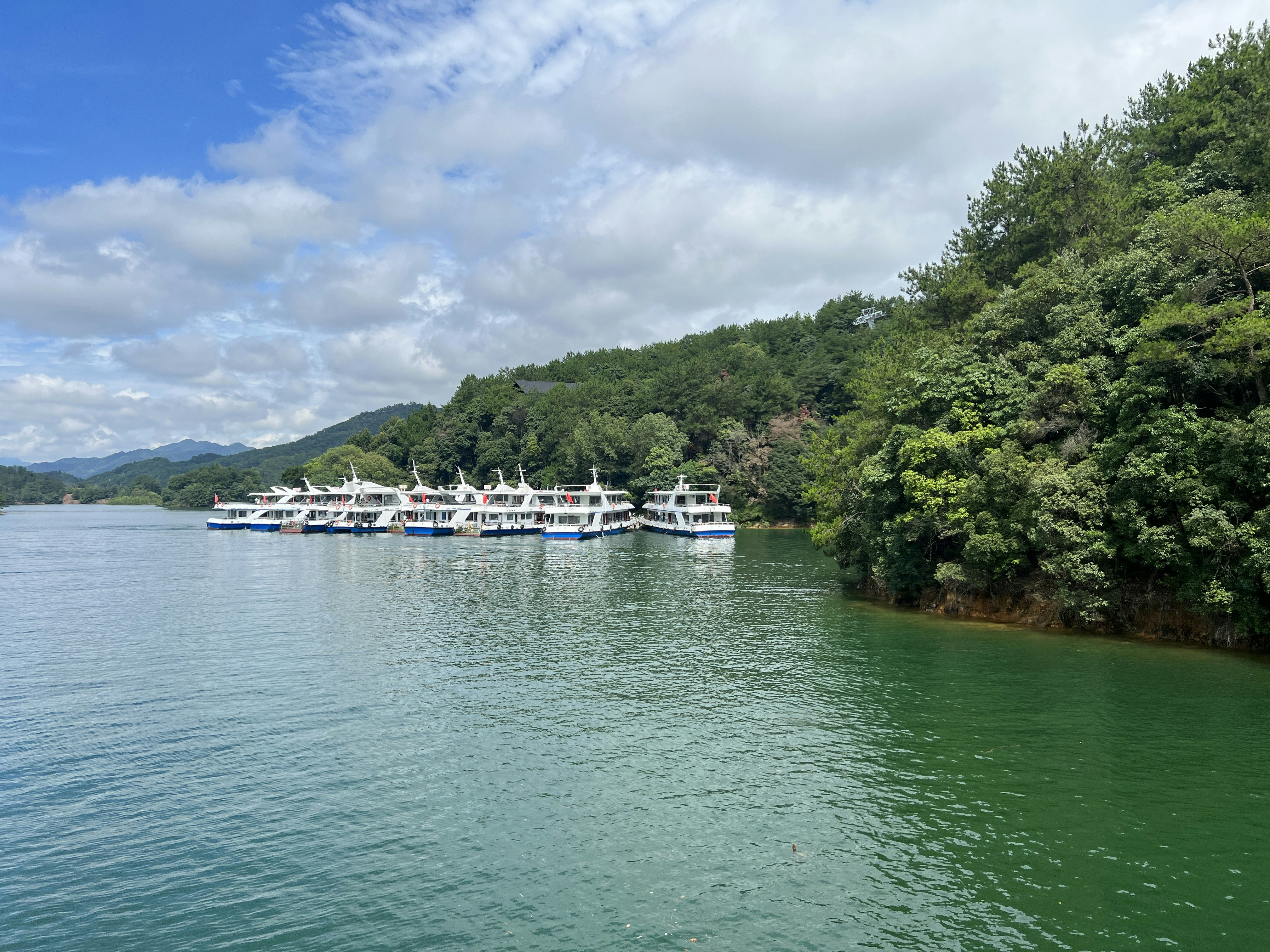 Imagem do artigo: Descubra os Encantos dos Passeios de Barco em Canasvieiras, Florianópolis