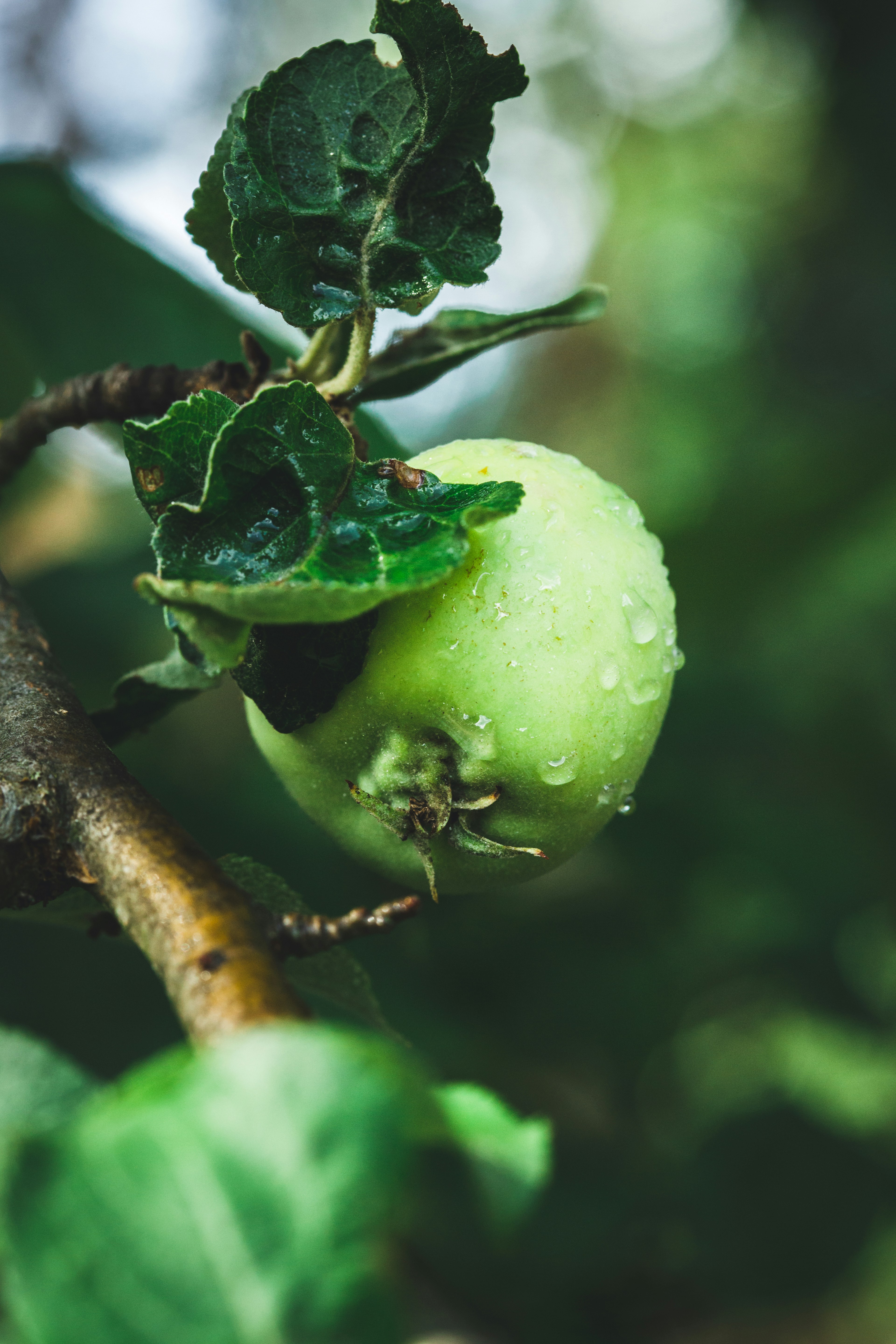 Photo by patrycjajadach