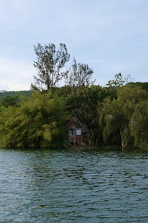 A small, rustic wooden cabin is nestled among dense green foliage by the edge of a tranquil body of water. Tall trees rise behind the cabin, and the water reflects the greenery and the sky above.
