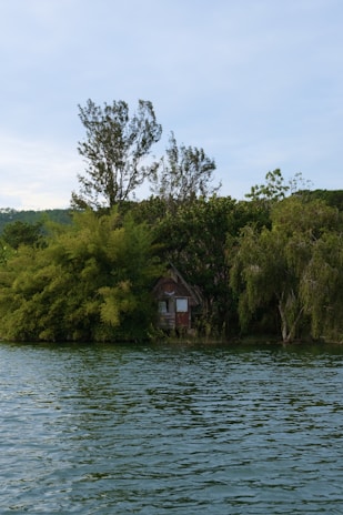 A small, rustic wooden cabin is nestled among dense green foliage by the edge of a tranquil body of water. Tall trees rise behind the cabin, and the water reflects the greenery and the sky above.