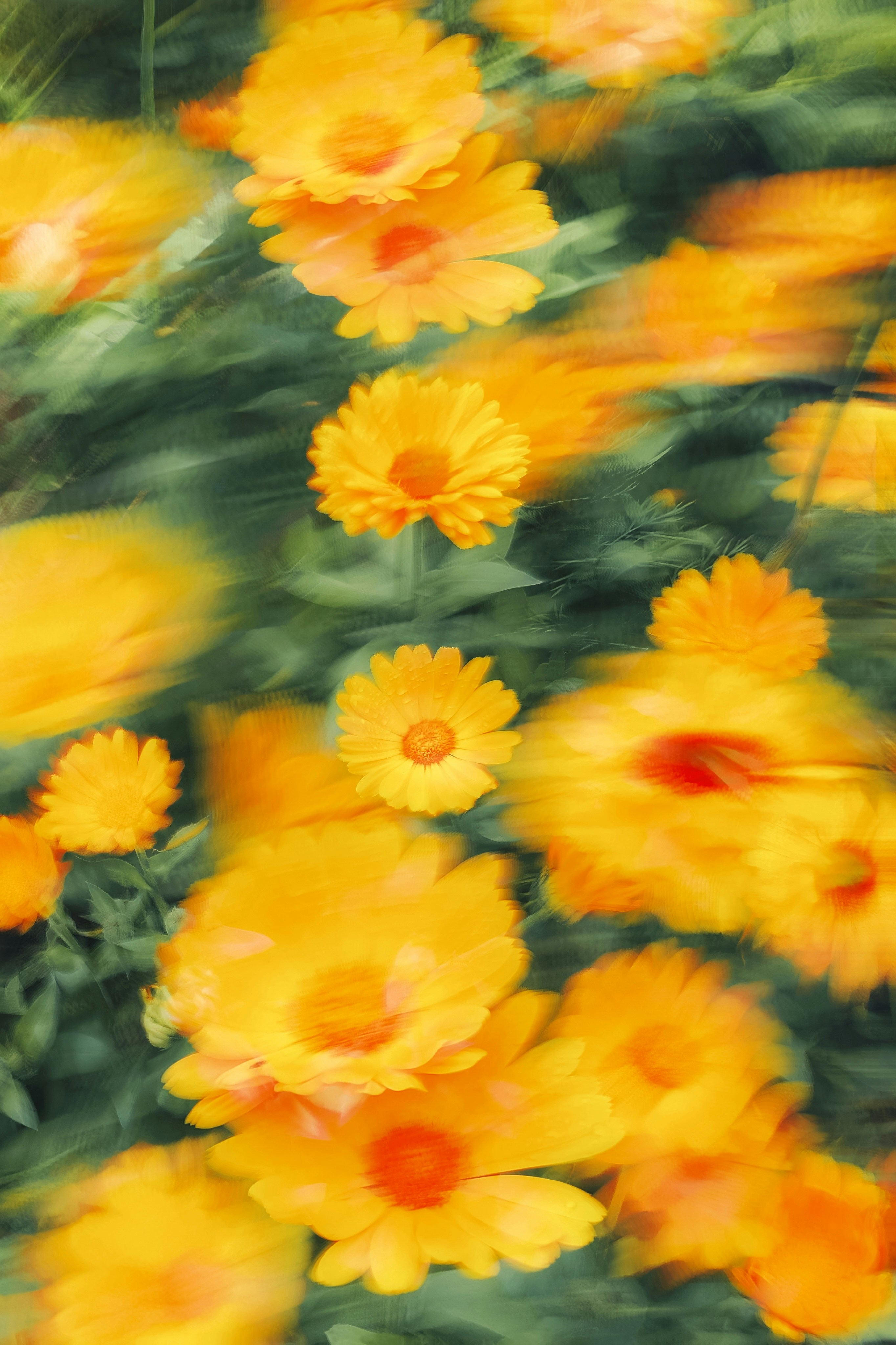 Photo by eugene_golovesov