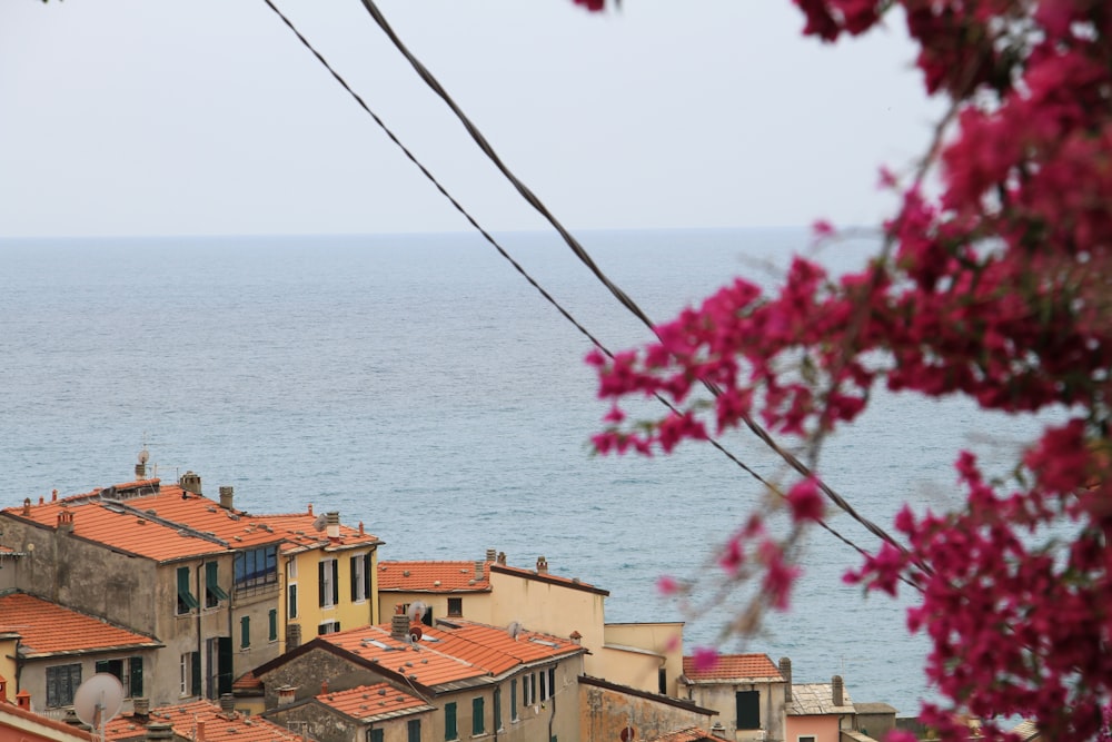 a view of some buildings and the ocean