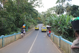 A rural road flanked by lush green vegetation on both sides. Two small yellow vehicles are seen driving along the road, with several people walking, some of them carrying baskets or goods on their heads. The road features a simple bridge with blue railings.