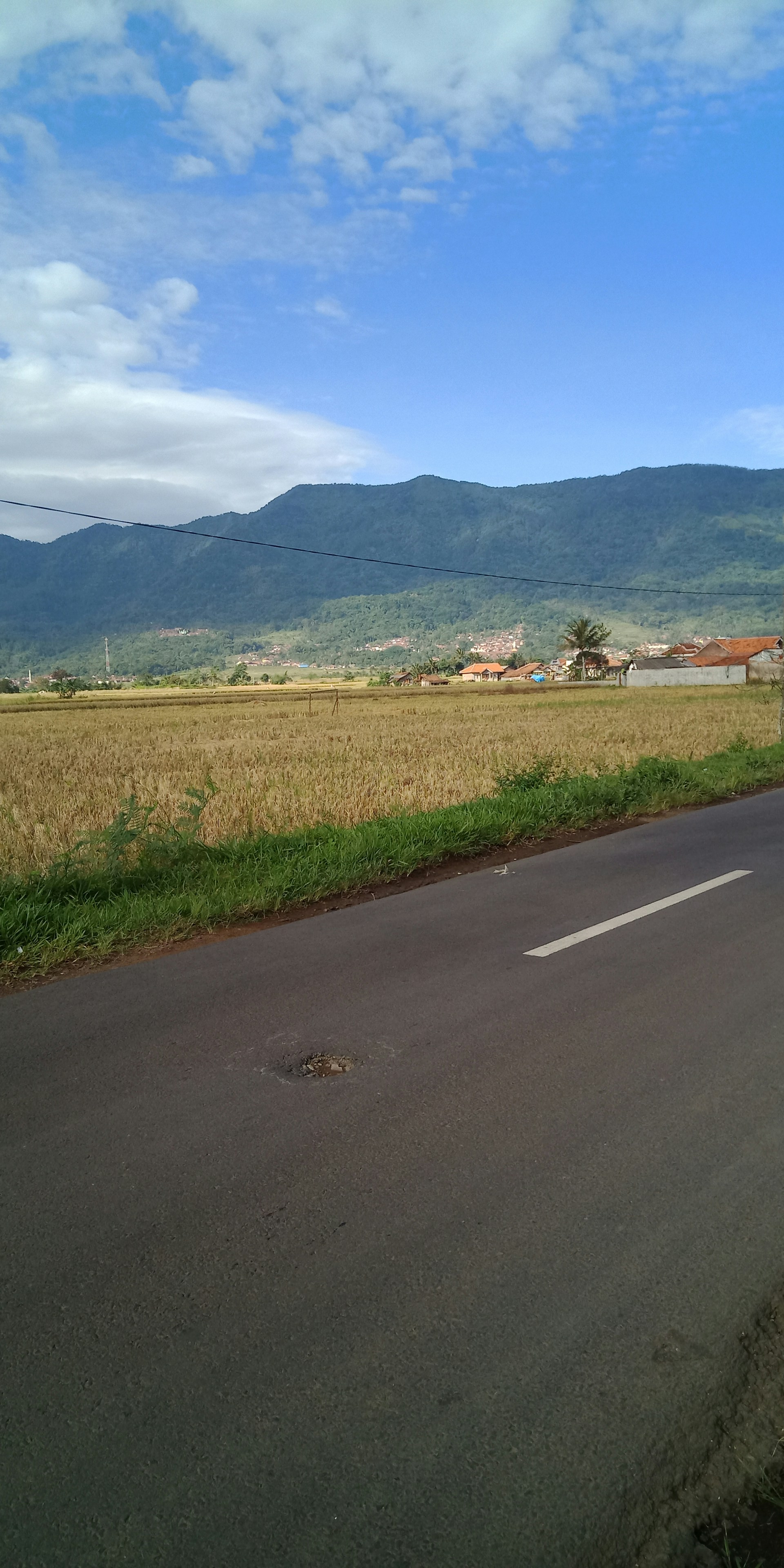 black and brown leather padded tub sofa