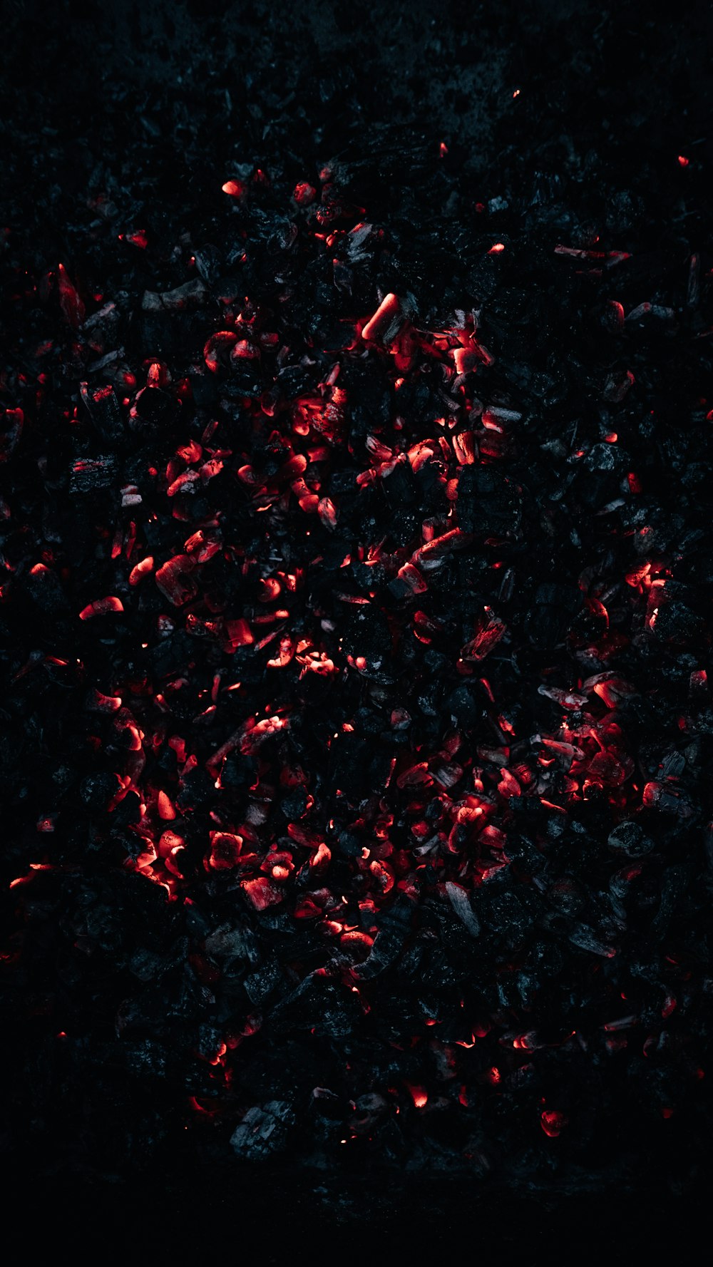 a close up of a black background with red lights