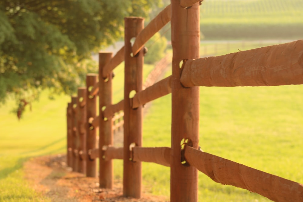 a wooden fence in a grassy field
