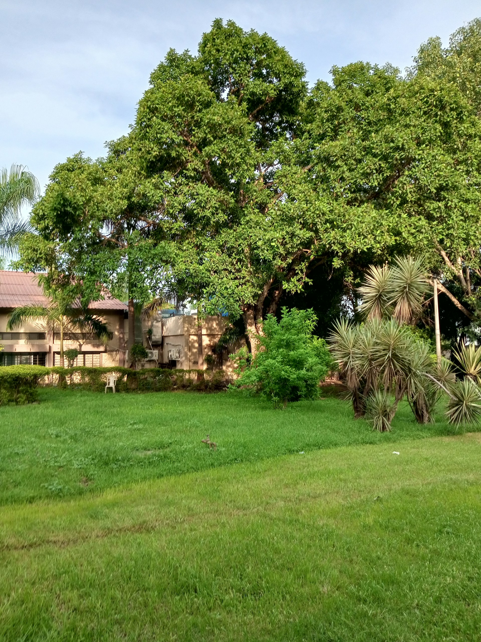 A serene view of Nature's Villa's lush green lawn with cozy seating arrangements under the shade of tall trees.